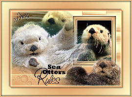 seaotters