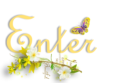 Enter