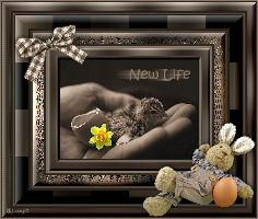 newlife